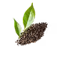 Tea Leaf
